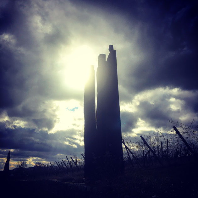 Le grand Cru Osterberg à Ribeauvillé - La droiture imposante des vins de la "colline de l'Est" est magnifiée par l'Assemblée du Clos du Zahnacker - 21 silhouettes (oeuvres du sculpteur Christian Lapie, 2002) qui veillent sur ce grand terroir