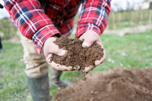 Les PIONNIERS de la BIO en ALSACE - Retour sur les origines de l’agriculture et de la viticulture biologique et biodynamique en Alsace.