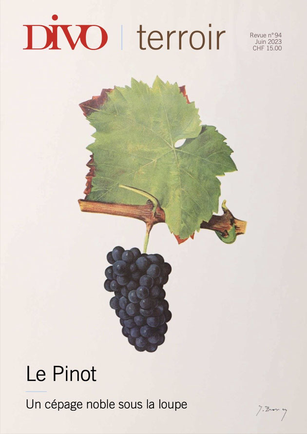 Le Pinot un excellent dossier du spécialiste des cépages José Vouillamoz , DIVO, Juin 2023 https://www.divo.ch/sites/default/files/medias/documents/Terroir-2023-06-Pinot-Noir-l.pdf