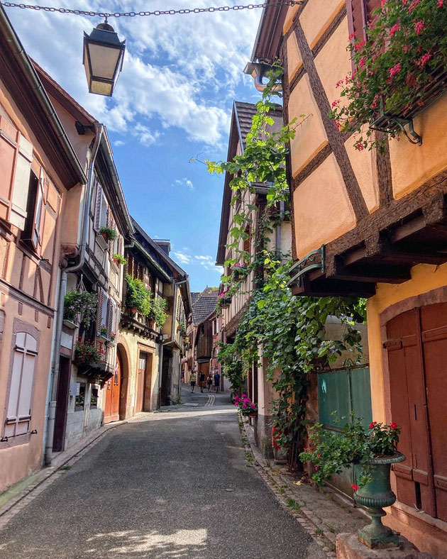 rue de la Fraternité à Ribeauvillé, juillet 2023