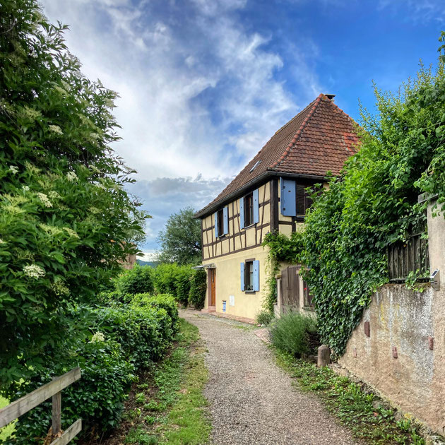 "Des goûts et des couleurs, l'histoire de la mise en couleurs des maisons en Alsace", Bergheim en Alsace, juin 2021