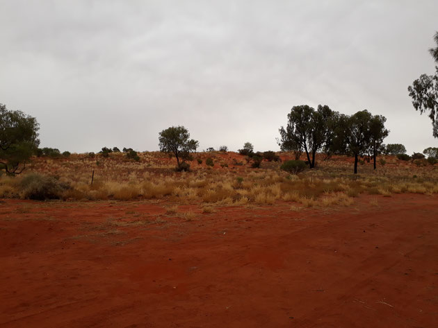 Rote Erde Outback