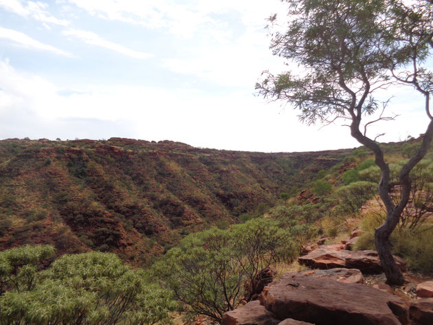 King's Canyon