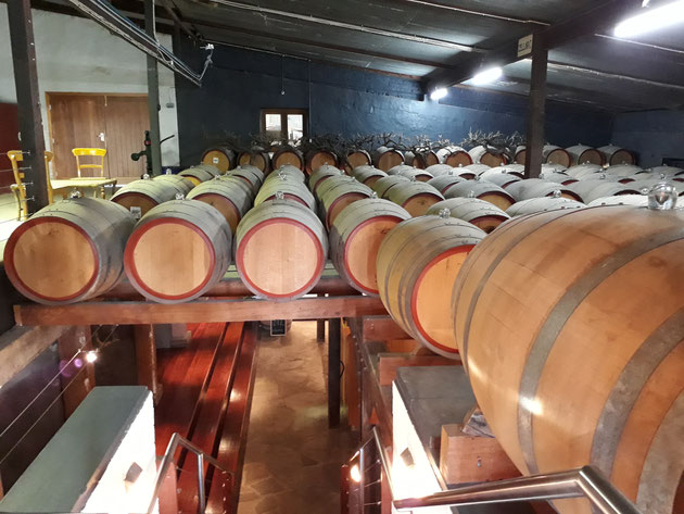 Weinkeller, Tanunda, Barossa Valley