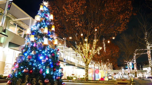 星が丘テラスのクリスマスツリーイルミネーション