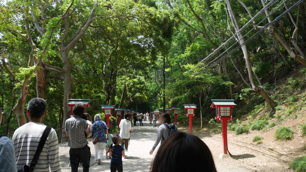 浄信門を抜けたあたり。よく見ると左右で木々の明るさが異なることが分かる。