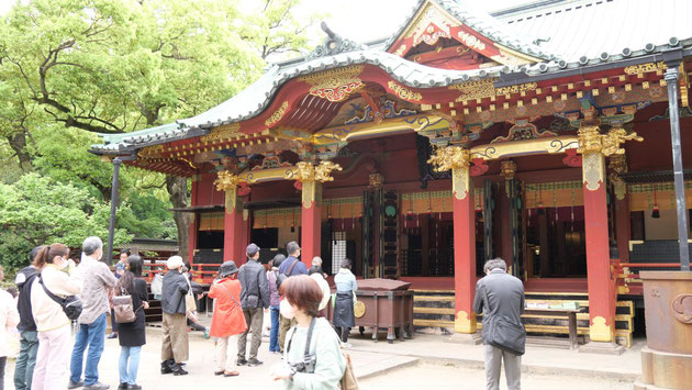 根津神社の本殿。ちなみに、右側で拝んでいるのが岩崎です。
