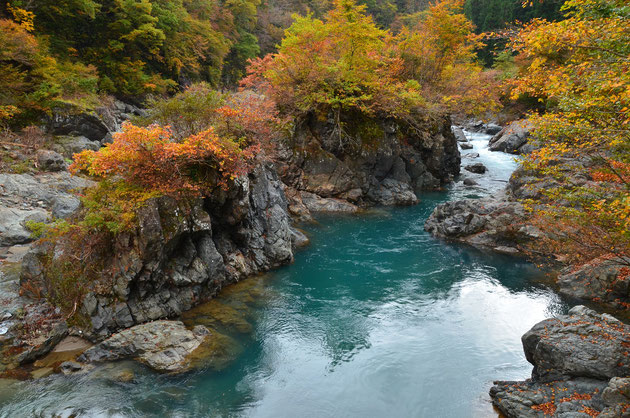 津南町・秋山郷・中津川 23,10,22