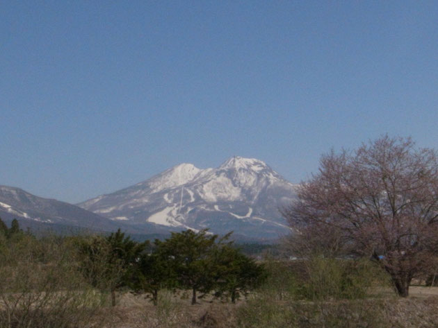 この桜いつ咲くのか？今年こそ撮ってみたい：信濃町鳥居川沿い