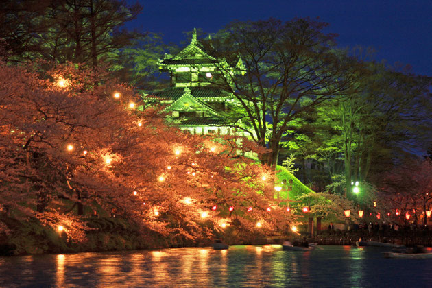 観桜 賑やかな歓声が、桜の風情とともに流れる（高田公園）　