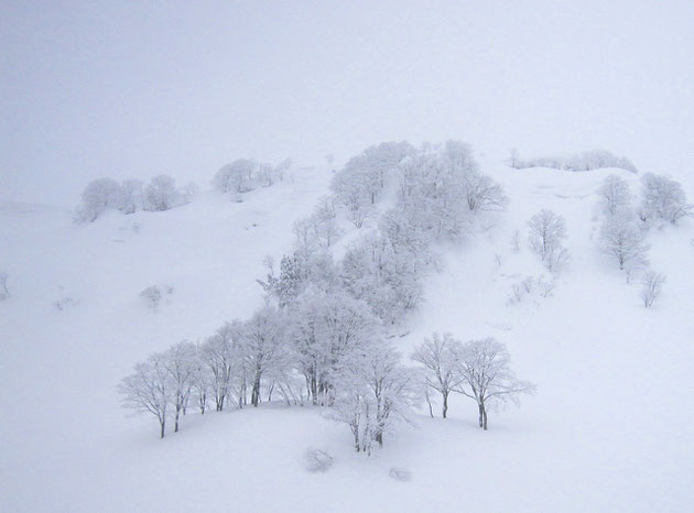 白雪 スキー場ゴンドラ終点には、美しい白の風景が広がる（菱ｹ岳）