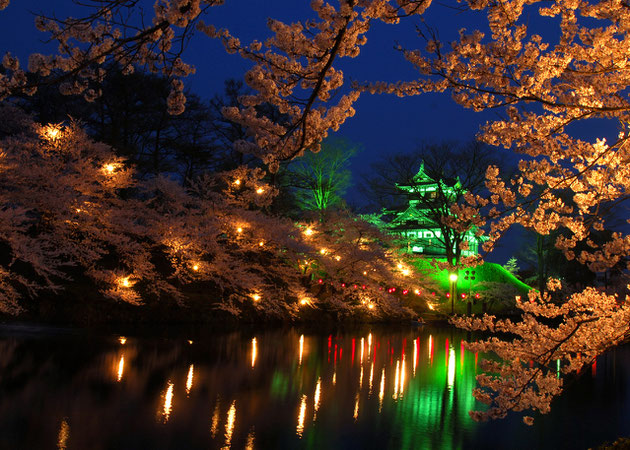 夜桜・高田城