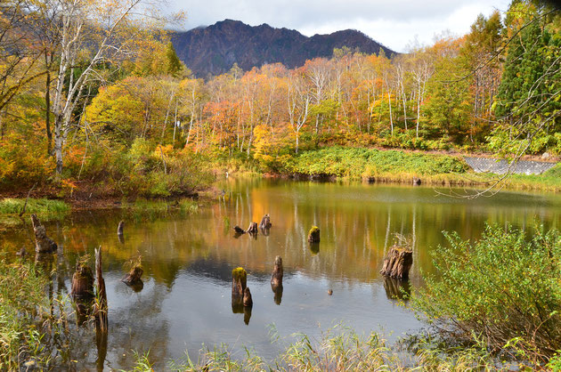 津南町・秋山郷・天池 23,10,22