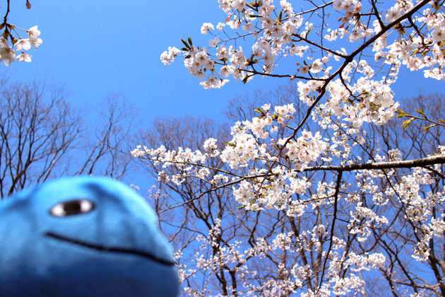 春の千秋公園とミズモ7