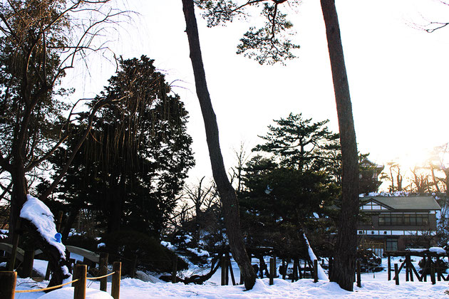 冬の千秋公園とミズモ2