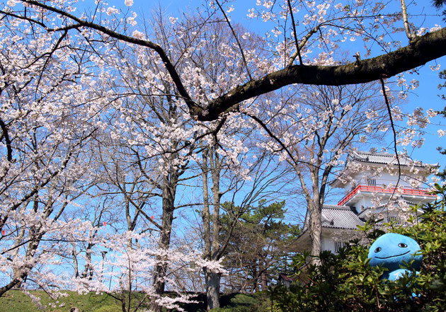 春の千秋公園とミズモ14