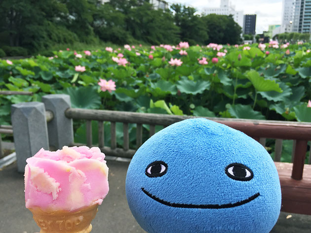 夏の千秋公園とミズモ お堀 ババヘラ