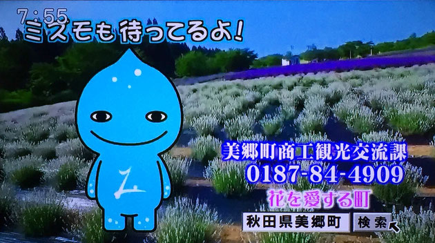 ミズモ ラベンダーまつりコマーシャル