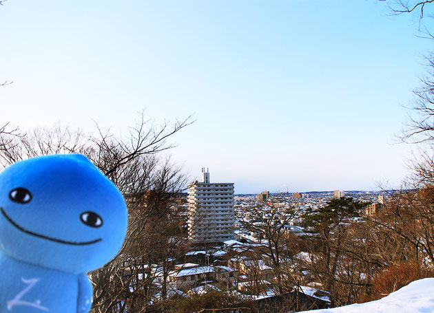 冬の千秋公園とミズモ6