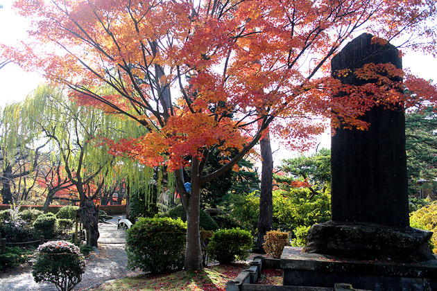 千秋公園の紅葉とミズモ