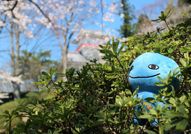春の千秋公園とミズモ15