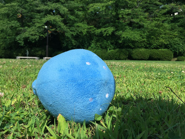 夏の千秋公園とミズモ 二の丸-12