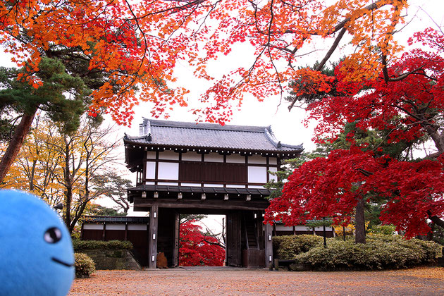 千秋公園の紅葉とミズモ
