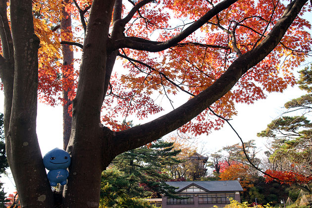 千秋公園の紅葉とミズモ