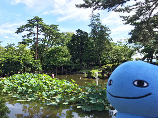 夏の千秋公園とミズモ 胡月池