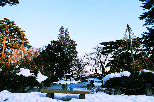 冬の千秋公園とミズモ4（胡月池）