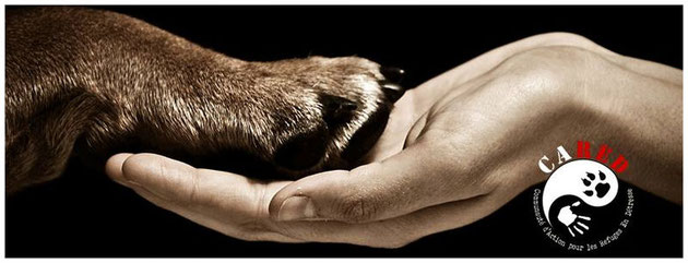 CARED refuges en détresse !