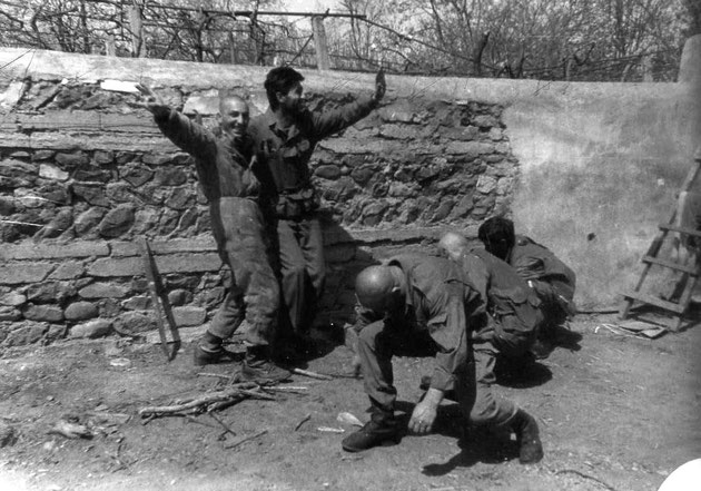 karachinarum 1992