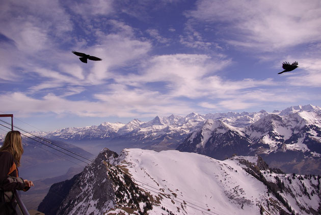 Schweizer Bergwelt