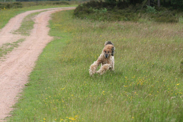 Yena im Alter von 12 Jahren!