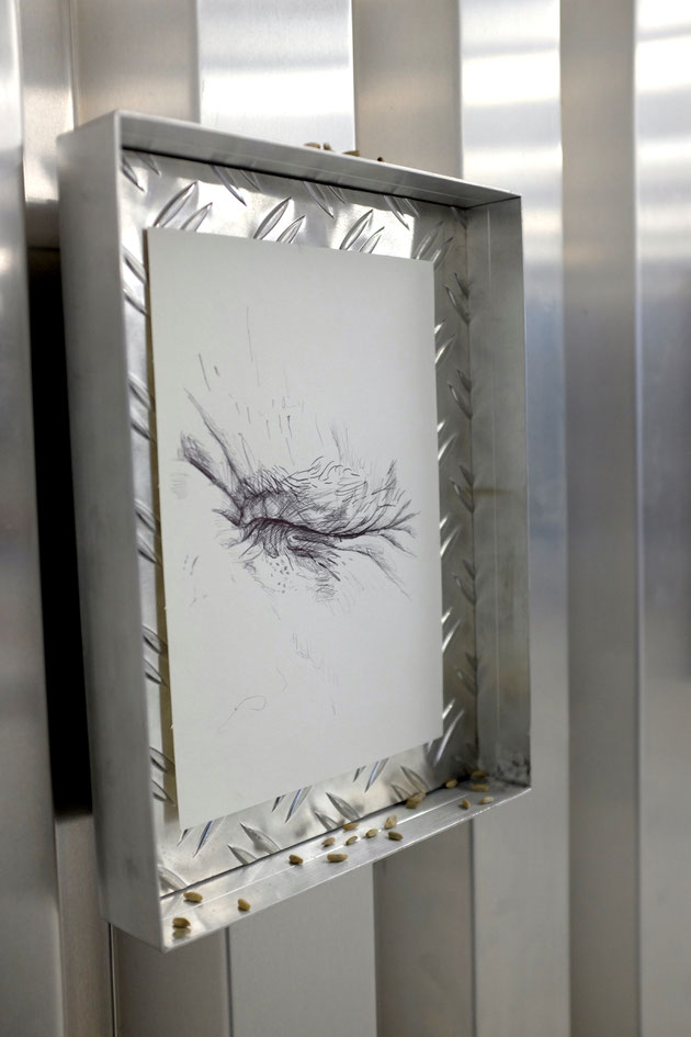 SÄHEN, Installation, 30.000 Rye Seeds, Alloy Frames, composted Textes, Drawing and print on paper, dimension variable