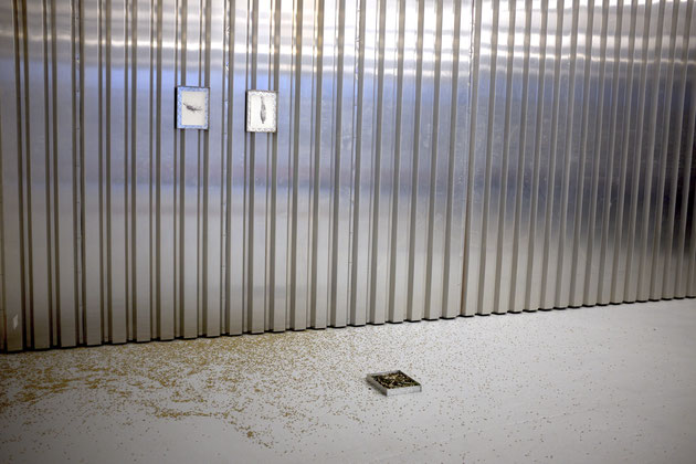 SÄHEN, Installation, 30.000 Rye Seeds, Alloy Frames, composted Textes, Drawing and print on paper, dimension variable