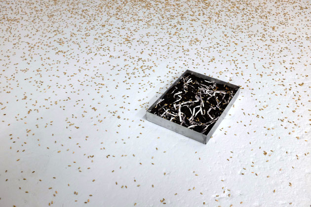 SÄHEN, Installation, 30.000 Rye Seeds, Alloy Frames, composted Textes, Drawing and print on paper, dimension variable