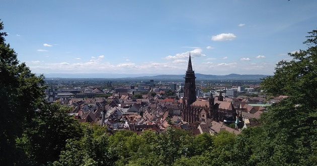 Am Schwarzwald: Grundwissen Moderation in Kleingruppe.