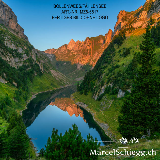 Wandbild-Bollenwees/Fählensee Art.-Nr. MZ8-6517-Format Quatrisch 1:1