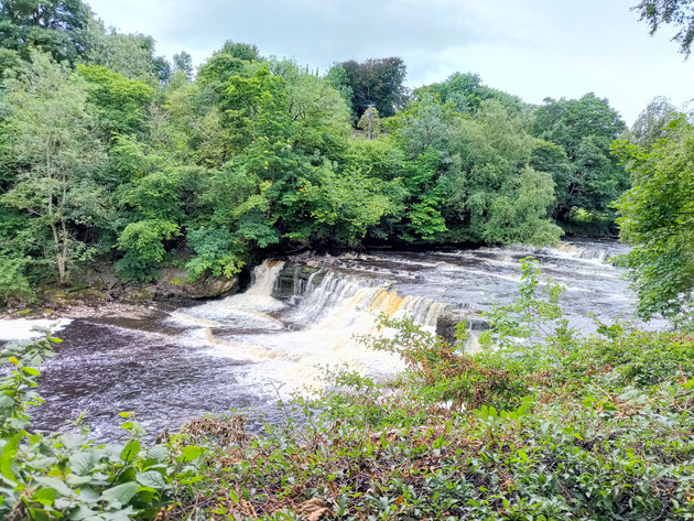 Small river waterfall surrounded by greenery