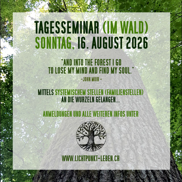 FLYER VON LICHTPUNKT LEBEN, TAGESSEMINAR FAMILIENSTELLEN IM WALD AM 5. JULI 2026 IN ELSAU BEI WINTERTHUR, SYSTEMISCHE AUFSTELLUNGEN IN DER GRUPPE