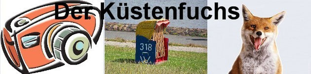 Der Küstenfuchs und viele Bilder !!! -------- KLICK --------