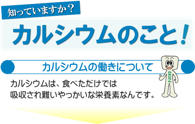 カルシウムの事どの位しっていますか？