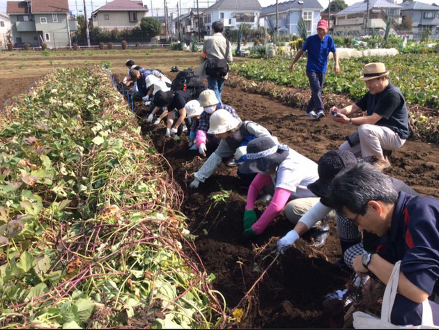 芋掘り中の皆さんの後ろで写真を撮っているところを撮られた。