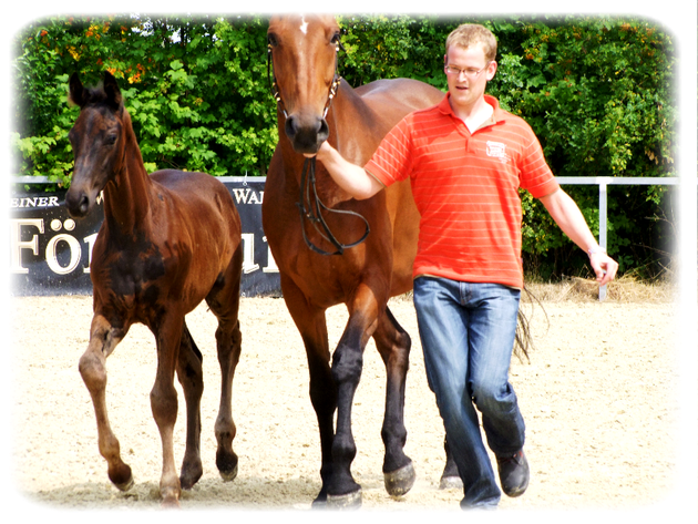 Thierry mit Sac & Luzie in Fröndenberg