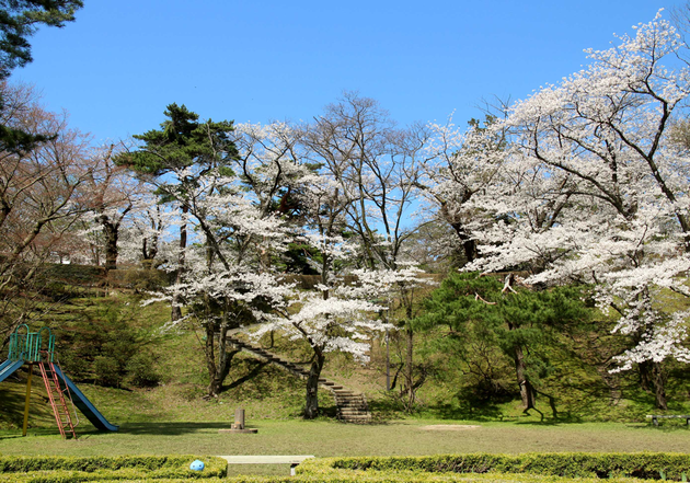 春の千秋公園とミズモ1