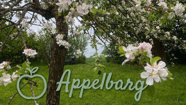 Apfelblüte auf dem Appelbarg - Ki bearbeitet / John Langley 2026