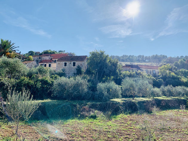 Kleines Dorf mit Steinhäusern zwischen mediterranen Büschen, Olivenbäumen und Palmen.