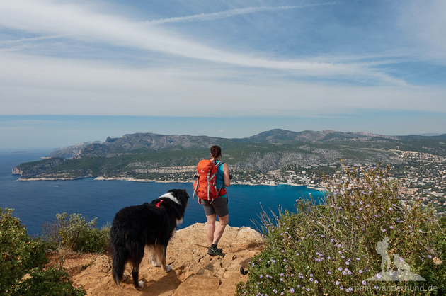 Südfrankreich und Urlaub mit Hund