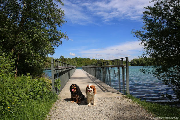 Schlosssee Salem